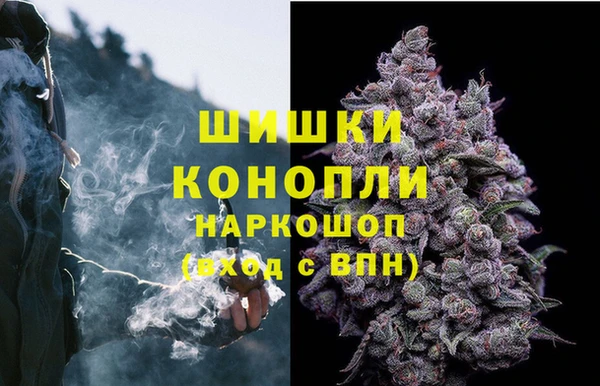 сатива Белокуриха