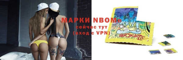 сатива Белокуриха