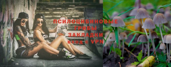 сатива Белокуриха
