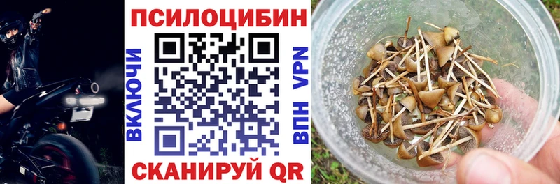 kraken вход  Выкса  Галлюциногенные грибы прущие грибы  даркнет сайт 