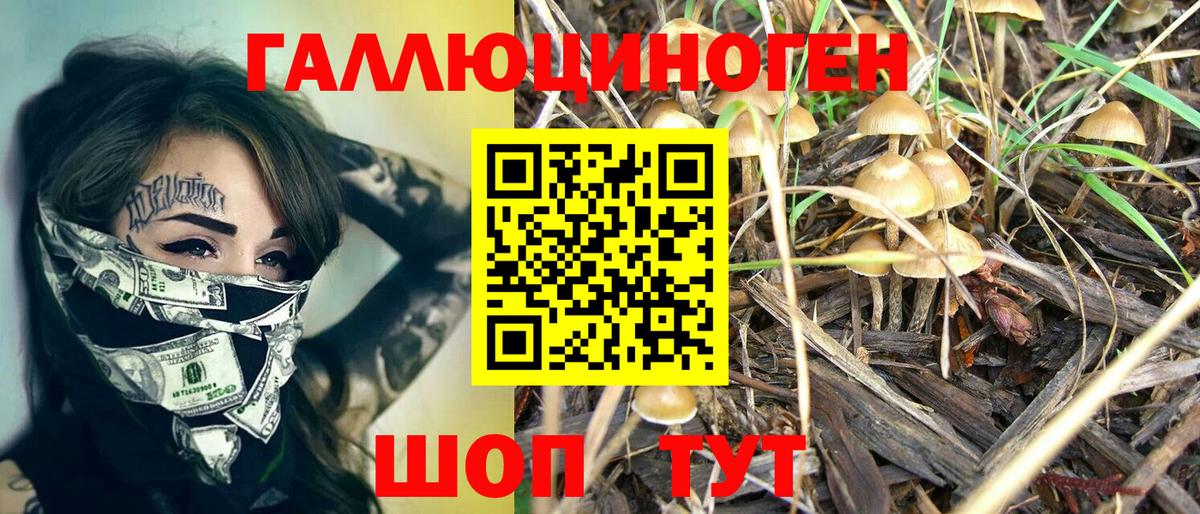 Псилоцибиновые грибы Magic Shrooms  Выкса 