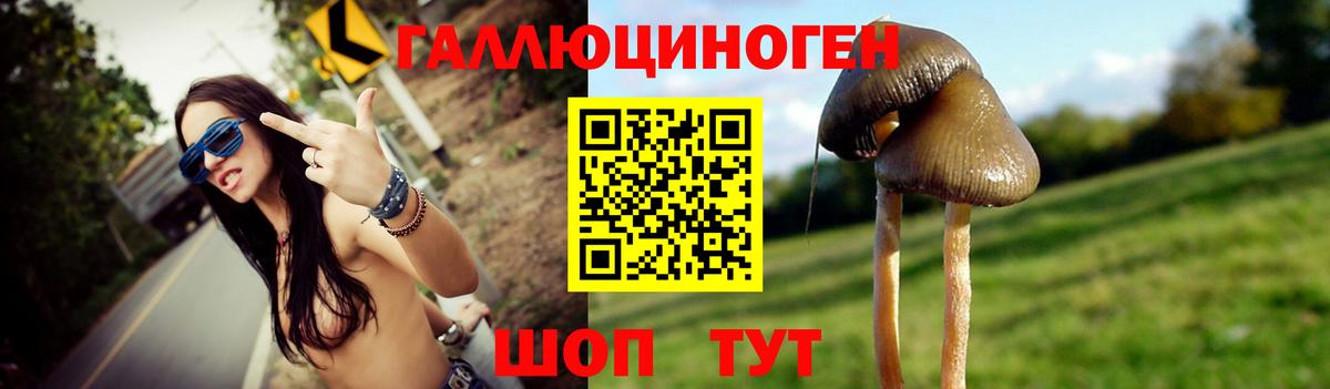Галлюциногенные грибы MAGIC MUSHROOMS  Псилоцибиновые грибы Magic Shrooms  Вход с VPN  Выкса 